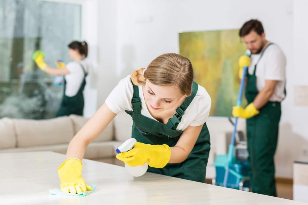 professional cleaning services provider in malaysia